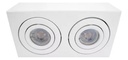 Plafon rectangular 2 luces Dicro Led