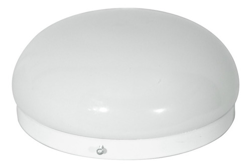 Plafón Con Tulipa Boina De Vidrio Oval Opal De 25 Cm 2 Luces